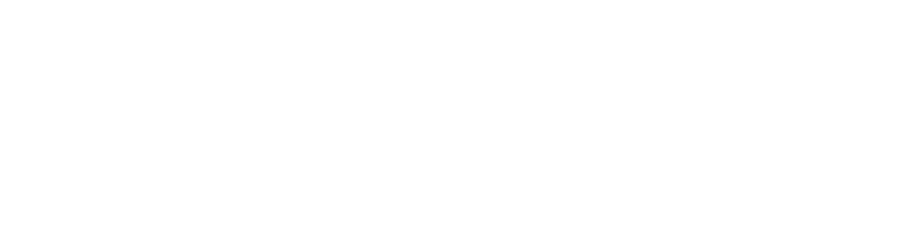 litfin logo